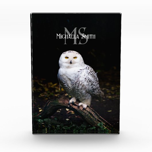 Rijkswintersnuffeluil (monogram) fotoblokken (Voorkant)