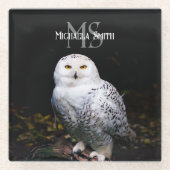 Rijkswintersnuffeluil (monogram) glazen onderzetter (Voorkant)