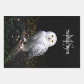 Rijkswintersnuffeluil (monogram) inpakpapier vel (Voorkant 2)