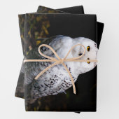 Rijkswintersnuffeluil (monogram) inpakpapier vel (In situ)