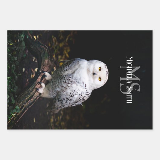 Rijkswintersnuffeluil (monogram) inpakpapier vel (Voorkant)