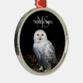 Rijkswintersnuffeluil (monogram) metalen ornament (Rechts)