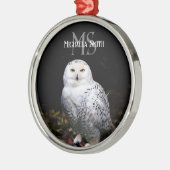 Rijkswintersnuffeluil (monogram) metalen ornament (Links)