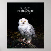 Rijkswintersnuffeluil (monogram) poster (Voorkant)