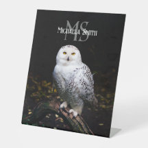 Rijkswintersnuffeluil (monogram)