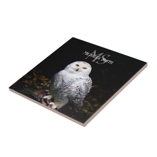 Rijkswintersnuffeluil (monogram) tegeltje (Zijkant)