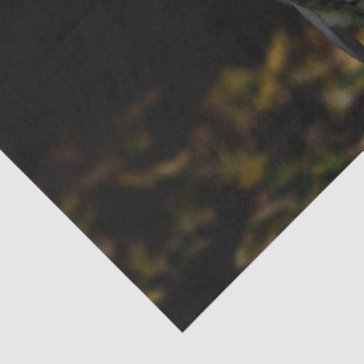 Rijkswintersnuffeluil (monogram) tissuepapier (Detail)