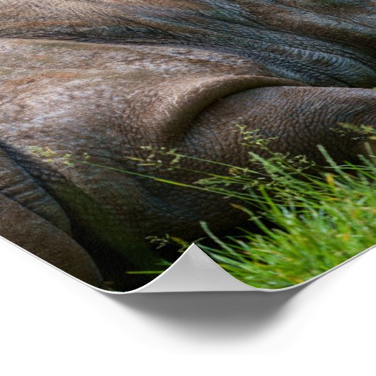 Rijn in de gras poster (Hoek)