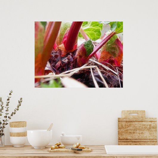 Rijn in de lentestuin poster (Keuken)