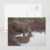 Rijn Reflectie-Briefkaart Briefkaart (Voorkant / Achterkant)