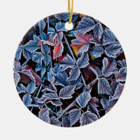 Rijp op herfstbladeren, Oregon Keramisch Ornament (Voorkant)