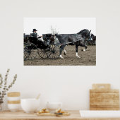  rijpaard poster (Keuken)