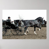  rijpaard poster (Voorkant)