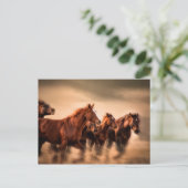 Rijpaarden, blauw- en vliegmannetjes briefkaart (Staand voorkant)