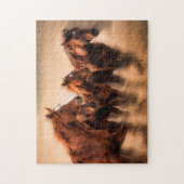 Rijpaarden, blauw- en vliegmannetjes legpuzzel (Verticaal)