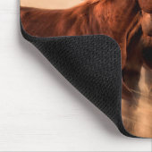 Rijpaarden, blauw- en vliegmannetjes muismat (Hoek)