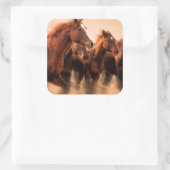 Rijpaarden, blauw- en vliegmannetjes vierkante sticker (Tas)