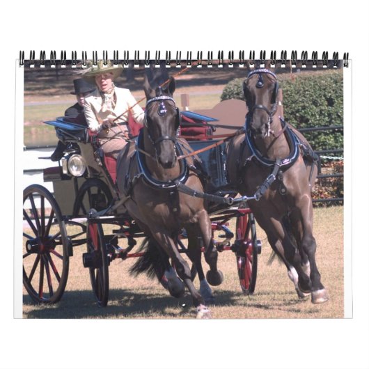 rijpaarden kalender (Hoes)