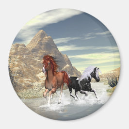 Rijpaarden Magneet