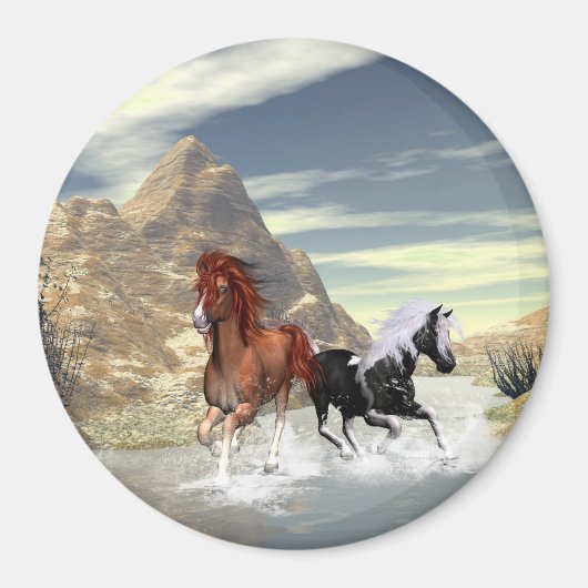 Rijpaarden Magneet (Voorkant)