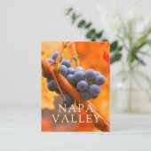 rijpe druiven in wijngaarden briefkaart (Staand voorkant)