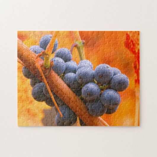 rijpe druiven in wijngaarden legpuzzel (Horizontaal)