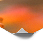 rijpe druiven in wijngaarden poster (Hoek)