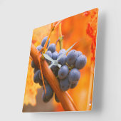 rijpe druiven in wijngaarden vierkante klok (Hoek)