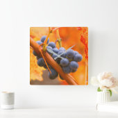 rijpe druiven in wijngaarden vierkante klok (Huis)