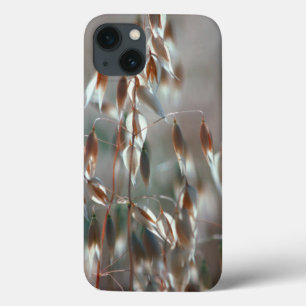 Rijpe Haver (Avena Sativa) Close-up. Ceres, Boland Case-Mate iPhone Case
