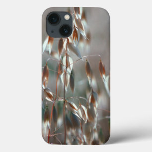 Rijpe Haver (Avena Sativa) Close-up. Ceres, Boland Case-Mate iPhone Case