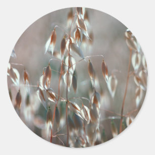 Rijpe Haver (Avena Sativa) Close-up. Ceres, Boland Ronde Sticker