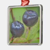 Rijpe hengelbessen in de nationale flathead 2 metalen ornament (Links)