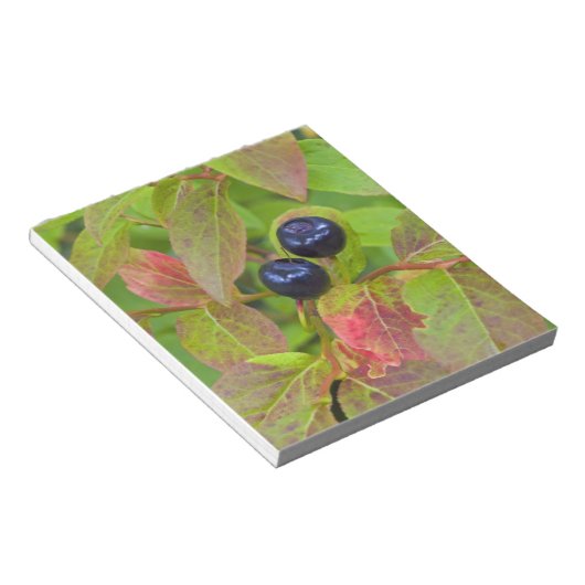 Rijpe hengelbessen in de nationale Flathead Notitieblok (Schuin)