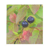 Rijpe hengelbessen in de nationale Flathead Notitieblok (Voorkant)