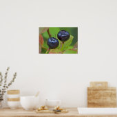 Rijpe huckleberries in de Flathead National 2 Poster (Keuken)