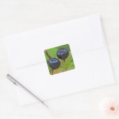 Rijpe huckleberries in de Flathead National 2 Vierkante Sticker (Envelop)
