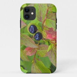 Rijpe huckleberries in de Flathead National iPhone 11 Hoesje