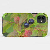 Rijpe huckleberries in de Flathead National Case-Mate iPhone Case (Achterkant (horizontaal))