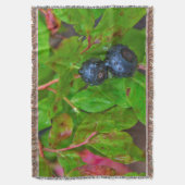 Rijpe huckleberries in een lichte regen deken (Voorkant Verticaal)