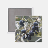 Rijpe olijven op olijfboomtak magneet (Voorkant / Achterkant)