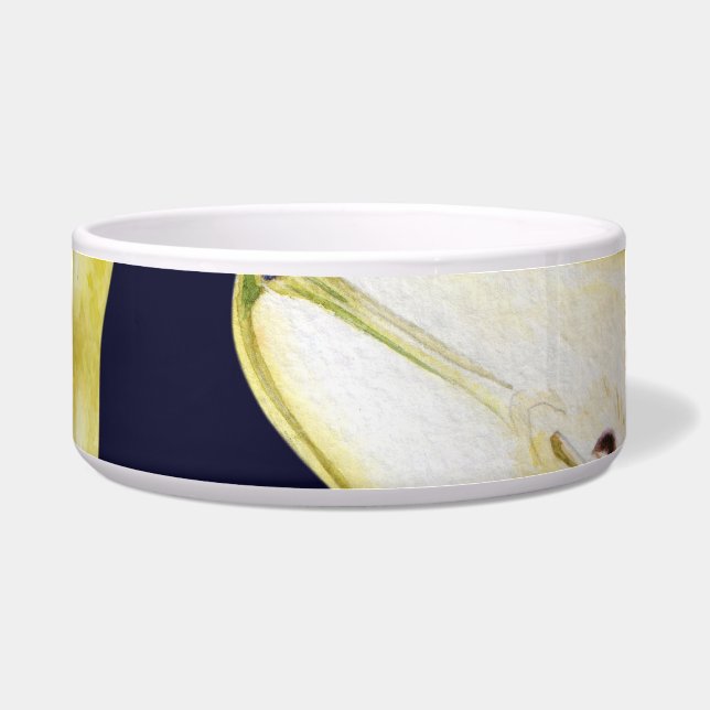 Rijpe peer, zwarte achtergrond, tuinkunst voerbakje (Voorkant)