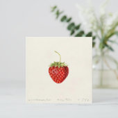 Rijpe rode aardbei (Louis C.C. Krieger) Kaart (Staand voorkant)