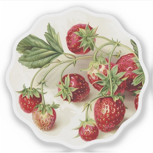  rijpe rode aardbeien sticker (Voorkant)