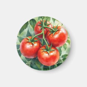 Rijpe Tomatenrank Aquarel Vers Magneet