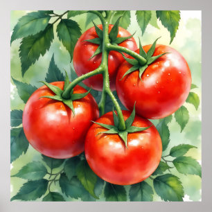 Rijpe Tomatenrank Aquarel Vers Poster
