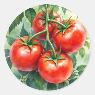Rijpe Tomatenrank Aquarel Vers Ronde Sticker