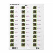 Rijpen van vlierbessen aangepaste voedseletiketten etiket (Full Sheet)