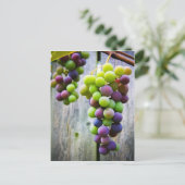 rijpende druiven briefkaart (Staand voorkant)