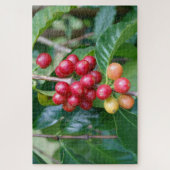 Rijpende Kona koffie kersen, Hawaï Legpuzzel (Verticaal)